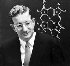 Robert Burns Woodward