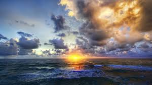 About serenity hospice care, llc. Serenity Hospice Care Linkedin