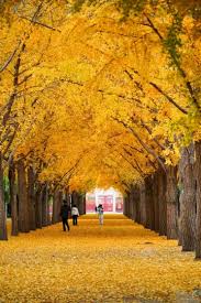 Image result for Ditan