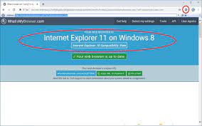 Internet explorer, like other prominent web browsers, allows you to access downloaded files from its main user interface. Ie Tab