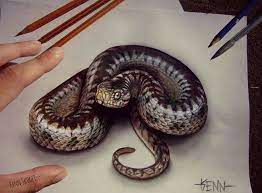 Garter snake drawing at getdrawings. Color Snake Images For Drawing Snake Drawing