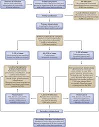 Tb disease most commonly affects the lungs and is referred to as pulmonary tb disease. Urogenital Tuberculosis Epidemiology Pathogenesis And Clinical Features Nature Reviews Urology