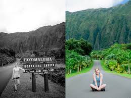 The tropical botanical gardens found in hawaii are known to be some of the most beautiful, unique and diverse of all the botanical gardens in the world. Oahu Hawaii Part Ii Ko Olina Lagoons Makaha Ho Omaluhia Botanical Gardens Virginia Florida Wedding Photographer Megan Kelsey Blog