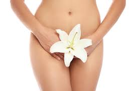 Depilacao Intima Feminina Cera Lamina Ou A Laser