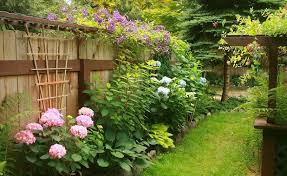 I live in ohio 6a and last winter we had a terrible cold snap after a january warming that killed many perennial plants and trees. Clematis Forum Late Winter Pruning Of Jackmanii Clematis Garden Org