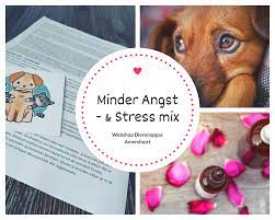 Vuurwerkmix Hond Effectief Middel Bij Vuurwerkangst Stress Hond 10ml