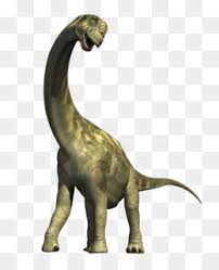 Download from thousands of premium diplodocus illustrations and clipart images by megapixl. Diplodocus Png Diplodocus Cartoon Diplodocus Coloring Page Diplodocus Drawing Diplodocus Toys Diplodocus Wallpaper Diplodocus Illustrations Diplodocus Art Diplodocus Coloring Page Cleanpng Kisspng