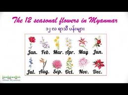 Seasonal flowers for each month. 12 Myanmar Seasonal Flowers Youtube