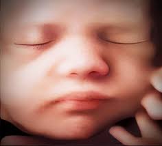 1 𝚚𝚞𝚎𝚜𝚝𝚒𝚘𝚗, "𝙳𝚘 𝚋𝚊𝚋𝚒𝚎𝚜 𝚘𝚙𝚎𝚗 𝚝𝚑𝚎𝚒𝚛 𝚎𝚢𝚎𝚜 𝚒𝚗  𝚝𝚑𝚎 𝚠𝚘𝚖𝚋?" 𝗛𝗲𝗿𝗲 𝗶𝘀 𝘆𝗼𝘂𝗿 𝗮𝗻𝘀𝘄𝗲𝗿! 😳 #4dpeekabooofpace  #hdultrasound