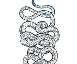 Snake Art And Wallpaper Image Snake Drawing Snake Tattoo Design Snake Sketch