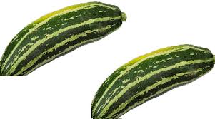1shareknowing the vegetable names of the other languages will always be helpful for the food bloggers like us. Zucchini Meaning In Tamil Telugu Marathi Kannada Malayalam In Hindi Name Gujarati In Marathi Indian Name Tamil English Other Names Called As Translation Pocket News Alert