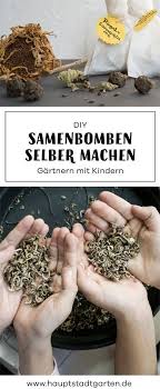 Seedbombs Mit Kindern Selber Machen Rezept Samenbomben Pflanzen Mit Kindern Und Garten