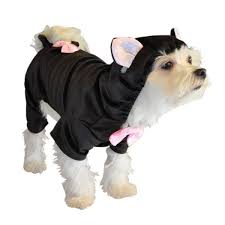 Black Cat Costume For Dogs Cat Dog Costume Dog Halloween Costumes Black Cat Costumes