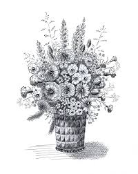 Boeket Bloemen Getekend Met Oost Indisch Inkt En Kroontjespen Door Beika Kruid Bloemen Tekenen Boeket Bloemen Bloemen