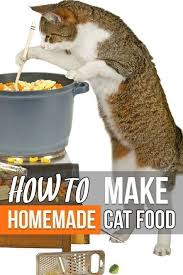 Wie Man Hausgemachtes Katzenfutter Macht Www Traveling Cat Makecatfood Catcarehowtomak Pet Treat Homemade Cat Food Healthy Cat Food Cat Nutrition