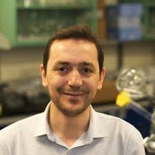 Atosa Dehsaraei, Architect