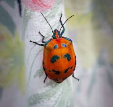 Safer® brand insecticidal soap and pyrethrin insect killer, 32oz concentrate. These Bugs Look Like Carved Pumpkins And It S The Halloween Mood Boost We Need Right Now