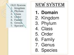 Classification Of Living Things Ppt Download