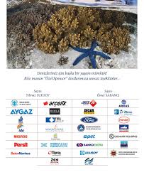 Https Www Turmepa Org Tr Turmepa Media Turmepa Deniztemizdergisi Pdfs Dt 58 Tekli Pdf Ext Pdf