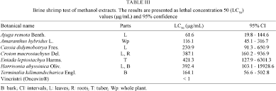 Image result for Terminalia kilimandscharica