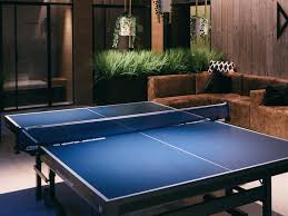 The 13 Best Ping Pong Tables In 2021 Pingpongruler