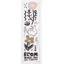 Bloom Canvas Growth Chart