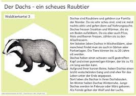 Die Waldtierkartei Zaubereinmaleins Designblog Zaubereinmaleins Wald Grundschule Lernkarten