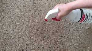 Don't fret, it's probably not as big a deal as you think. How To Get Slime Out Of Carpet Thevacuumexperts Com