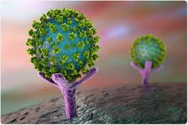 How Does The Covid 19 Pandemic Compare To Other Pandemics