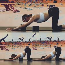 Yin Yoga Meridians Puppy Pose On Blocks Yin Yoga Sequence Yin Yoga Yoga Sequences