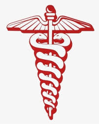 Smiling woman hospital png image. Medical Snake Logo Png Free Transparent Clipart Clipartkey