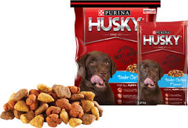 When searching for puppy food, the plethora of products available can be a bit overwhelming. Download Hd Purina Husky Puppy Chicken Food For Husky Dog Transparent Png Image Nicepng Com