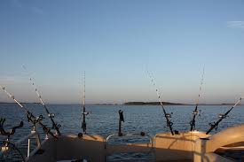 Image result for santee cooper fishing report