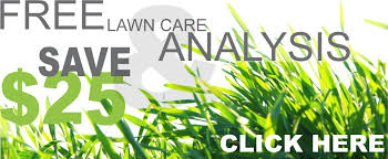 Complete lawn, weed, tree and pest we also offer comprehensive pest control and tree care and rehabilitation spraying services in boise. Brookside Lawn Service Company Weed Free Green Lawns