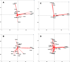 Image result for Otiophora pauciflora