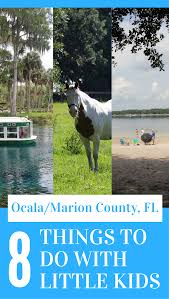 Visit Ocala Marion County Fl With Little Kids Here Are 8 Great Ideas For Things To Do In The Area Ad Family Vacation Travel Florida Travel Ocala