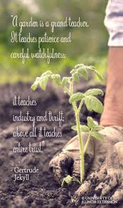 62 Ideas Garden Quotes Signs Nature For 2019 Garden Quotes Signs Garden Quotes Garden Signs