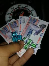 Apa perbedaan burung merpati dan burung dara? Jual Beli Merpati Racing Pos Boyolali Ampel Facebook