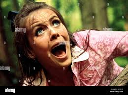 The hayers hi-res stock photography and images