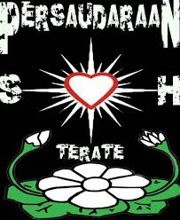 We provide psht wallpaper apk 1.0 file for android 4.0.3 and up or blackberry (bb10 os) or read psht wallpaper apk detail and permission below and click download apk button to go to download. 11 Ide Sh Pencak Silat Seni Bela Diri Bunga Teratai