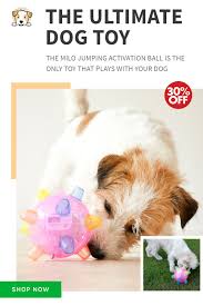 Milo Jumping Activation Ball Dog Toy Dog Toys Best Dog Toys Interactive Dog Toys