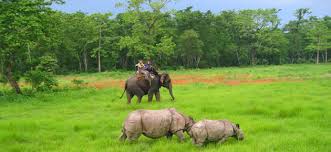 Maybe you would like to learn more about one of these? Chitwan National Park The Real Thing Hotel Shanker Lazimpat Kathmandu Nepal