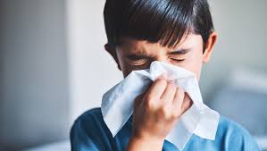 The flu is caused by influenza viruses that infect the nose, throat, and lungs, and it is spread when people with the flu cough, sneeze or talk. Flu Season Is Coming What Fencers Can Do Academy Of Fencing Masters Blog