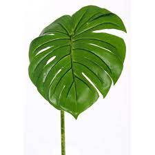 Philodendron micans plant rooted rare philodendron micans live plants. Artificial Philodendron Monstera Deliciosa Leaf Danis Green 3ft 95cm Fake Plants