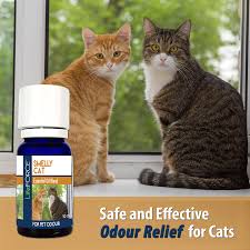 Using essential oils through a diffuser has been one effective way to do so. Smelly Cat Essential Oil Blend 10ml Lifeforce Pet Health