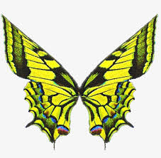 Find high quality butterfly wings clipart, all png clipart images with transparent backgroud can be download for free! Wings Material Simple Yellow Butterfly 148966 Png Images Pngio