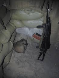 Timeline of events the following is a chronology of changes to territorial control and other major events since our previous map update of june 8, 2016. Rescued Puppy From A Eastern Ukraine War Zone Sleeping Imgur