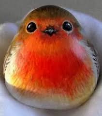 Is That A Bird Or A Mango Stones The In A Ist Mango Ode Bird Ist Mango Ode Stones Painted Rock Animals Rock Painting Art Pet Rocks