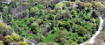 Check spelling or type a new query. Arnold Arboretum Of Harvard University Upcoming Events In