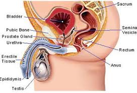 It may be injured or strained when you do intense exercise without warming up. Signs Of Cancer In Men Could It Be Cancer